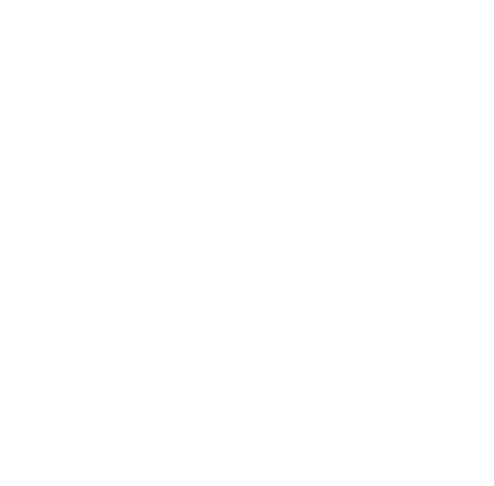 DSI_Logo-Mark-white.png